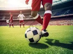 巴坎布助力,民主刚果农,业发展,星空体育官网,星空体育App,星空体育直播,星空体育平台,星空体育互动