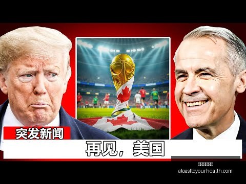沙特阿拉伯,与我国裁判,团对峙,星空体育官网,星空体育App,星空体育直播,星空体育平台,星空体育互动