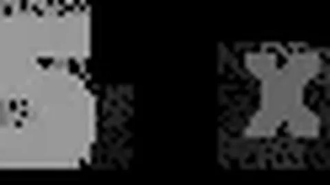 维尔贝克本赛季英超进球数7粒，与在曼联巅峰赛季持平。